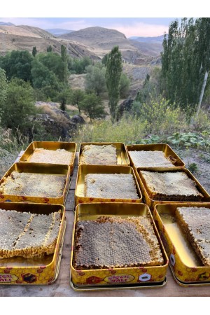 Karakovan Petek Bal 1 kg | Kars'ın Saf ve Doğal Balı&hellip;