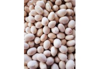 İspir Fasulyesi | Doğal Yöresel Ürün